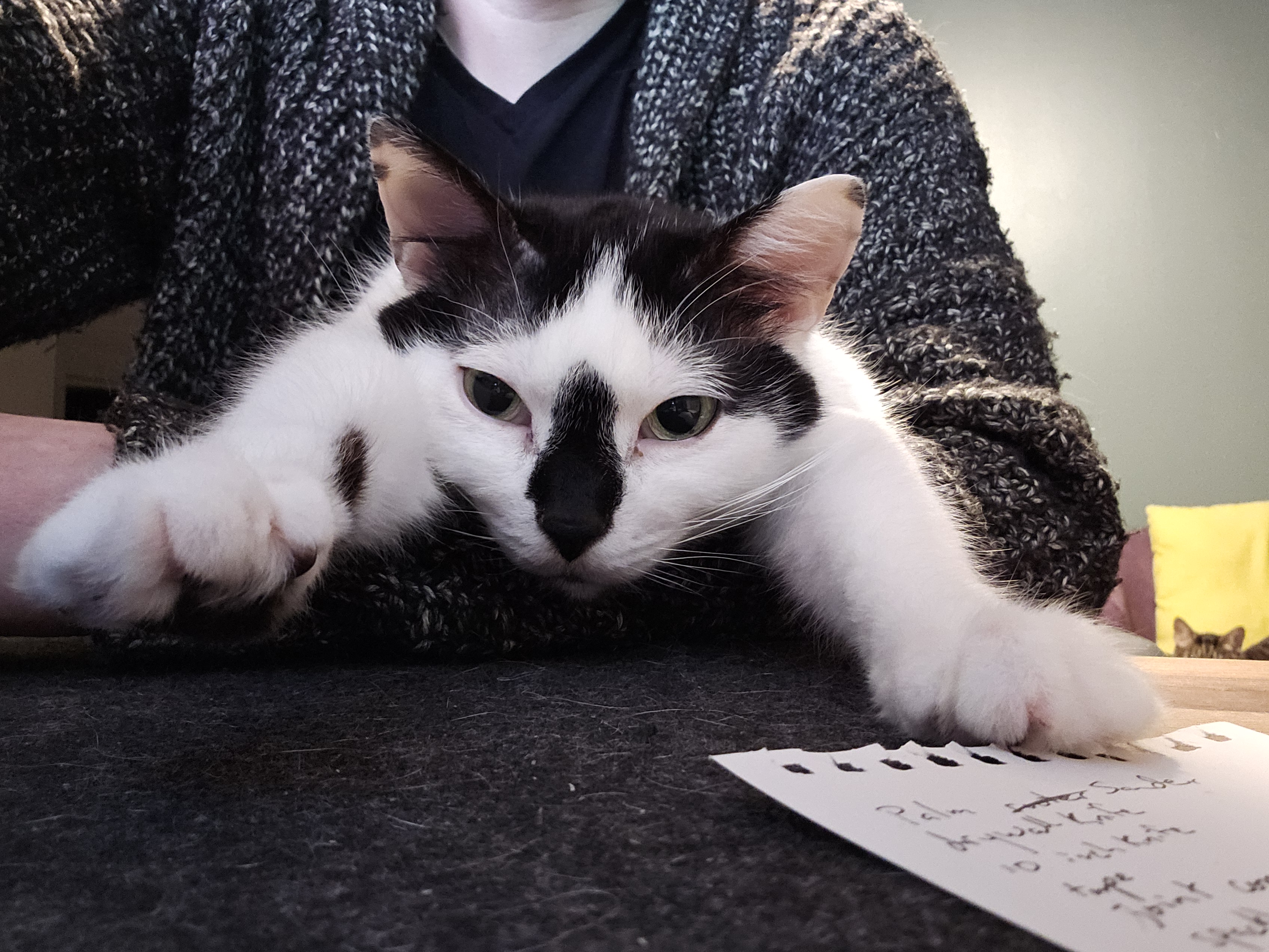 Wilbur stretching